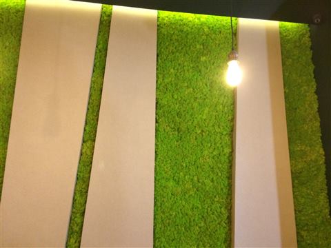 Perete de licheni stabilizați – GJC Sun Plaza, foto 11 din 19
